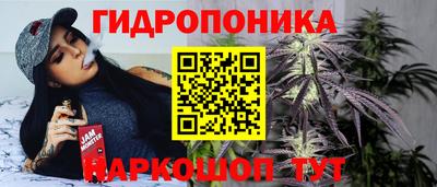 прущие грибы Можга