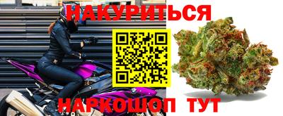 прущие грибы Можга