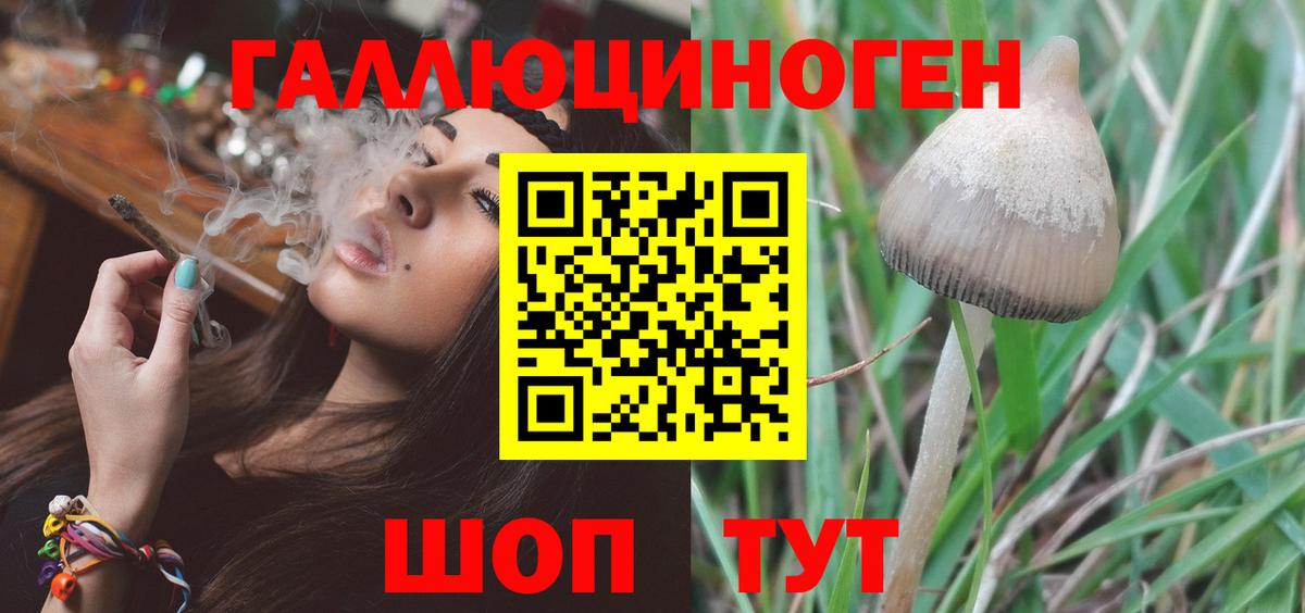 Псилоцибиновые грибы GOLDEN TEACHER  Вход с VPN  Псилоцибиновые грибы Psilocybe  Великий Устюг 
